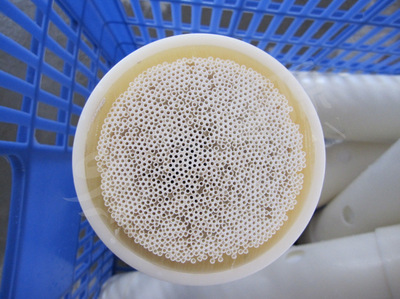 滤膜-供应 中空纤维超滤膜滤芯 合金PAN材质 韧性好 出水量大-滤膜尽在阿里巴
